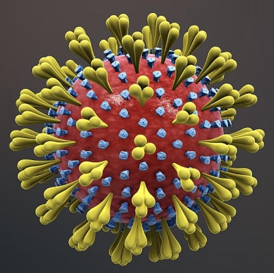 Corona Virus